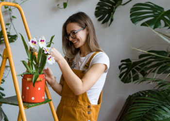 Stres Yaratan Hobiler