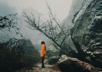 Toksik Bağışlamadan Gerçek Affetmeye