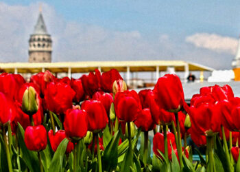 İstanbul için lale zamanı