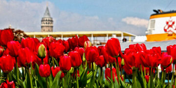 İstanbul için lale zamanı