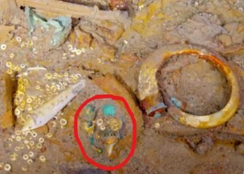 111 Yıl Evvel Batan Titanik’te Megalodon Dişinden Altın Bir Kolye Bulundu