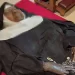 4 yıl evvel ölen rahibeyi mezarından çıkarttılar! Görenler şok oldu! “Mucize” diyerek sergiliyorlar!