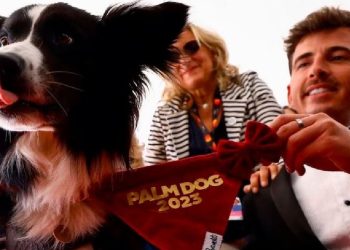 Cannes’da Yarışan Messi, Hisli Oyunculuğuyla Büyük Mükafatı Kaptı