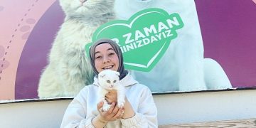 Depremzede kediler yeni konutlarına kavuştu