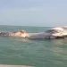 Dev meyyit balina kıyıya vurdu! Patlama riski nedeniyle halk bölgeye yaklaştırılmıyor