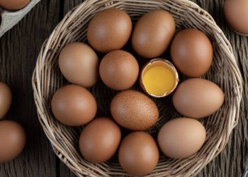 Eski Tanımlardan Mucize Yumurta Yağı Nasıl Yapılır ve Nerelerde Kullanılır? Saç Düzleştirme, Cilt Lekeleri İçin Birebir…