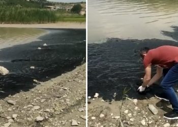 Kaygı yaratan manzara: Boğazköy Barajı’nın yüzeyi siyaha büründü