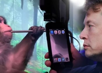 Testler Tamamlandı, Karar Verildi: Elon Musk’ın Beyin Çipine Onay Çıktı