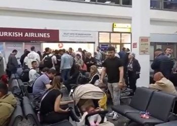 THY Uçağına Kuş Çarptı: Yolcular Tahliye Edildi