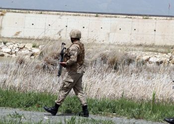 Van Gölü’ndaki Dikkuyruk Kuşlarını, Kimse Yemesin Diye Jandarma Koruyor