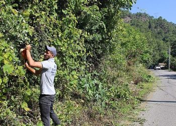 Antalya Büyükşehir takımları Çıralı’da paklık çalışması yaptı