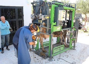 Antalya Büyükşehir’in hayvancılığa dayanağı sürüyor