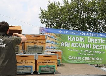 Aydın Büyükşehir Belediyesi’nden bayan arıcılara kovan takviyesi