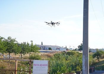 Ayvalık’ta dronların gayesinde sinekler var