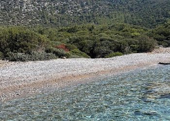 Belediyeden, ada ve koylarda paklık