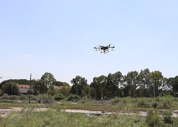 Burhaniye’de sinekle uğraşta yeni tahlil