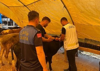 Canik’te Bayram Hazırlıkları Son Hız