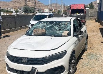 Dicle Elektrik Grubuna Saldırıp Direkleri Tahrip Ettiler