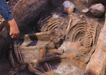 Eskişehir’de 5 bin yıllık iskelet bulundu