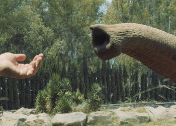 İstanbul Çağdaş Sinema’da Unutma Biçimleri