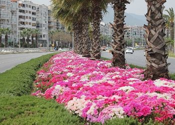 İzmir çiçek açtı
