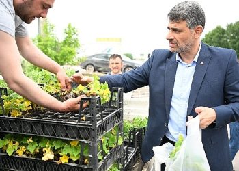 Kartepe’de 60 bin fide daha toprakla buluştu