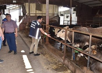 Kartepe’de kurban satışını sıkı denetim