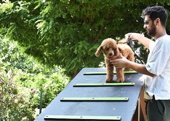 Kemalpaşa Belediyesi can dostlar için ilçenin birinci köpek parkını kurdu