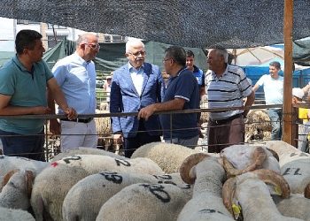 Kurban Bayramı öncesi kontrol