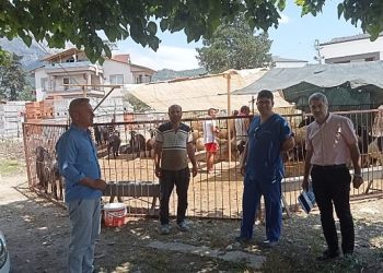 Kurban satış yerlerinde kontrol