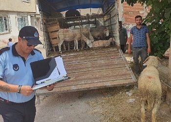 Mahalle ortasında kurban satışına müsaade yok