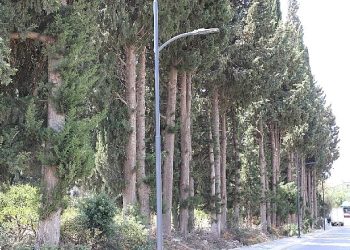 Menderes’e Yeni Aydınlatmalar