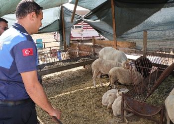 Menderes’te Kurban Kontrolü