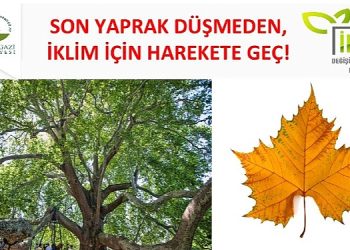 Osmangazi, iklim değişikliği ile uğraşta yol haritasını belirledi