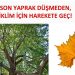 Osmangazi, iklim değişikliği ile uğraşta yol haritasını belirledi