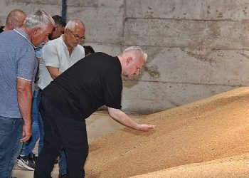 Pehlivan’dan çiftçilere müjde