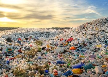 Plastikler anne karnına, insan kanına kadar girdi!