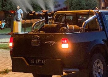 Sineksiz bir Edremit için..