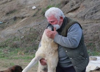 Sokak hayvanları için 71 yaşında veterinerlik kısmını bitirdi