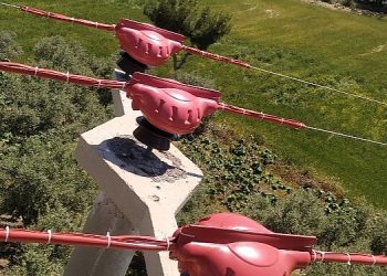 Toroslar EDAŞ Sınırlarını Yalıttı, Kuşlar Kanatlarını Hayata Çırptı