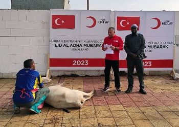 Türk Kızılay Kurban Kısımlarını Başlattı