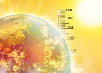 Türkiye’nin Anafilaksi Haritası çıkarıldı