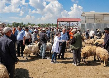 Van Büyükşehir Belediyesi canlı hayvan pazarında bilgilendirme yaptı
