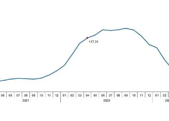 Ziraî girdi fiyat endeksi (Tarım-GFE) yıllık %40,20, aylık %0,63 arttı