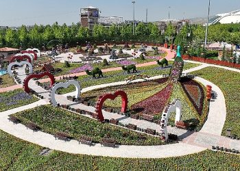 27 Tıpta, 400 bin çiçeğe konut sahipliği yapıyor