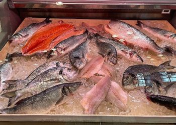 Amerikalıların protein muhtaçlığını karşılamaya gittiler