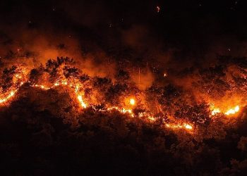 Antalya Büyükşehir Göynük yangını için seferler oldu