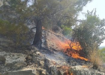 Aydın Büyükşehir Belediyesi İtfaiyesi, Söke’de ormanlık alanda çıkan yangını süratli müdahaleyle büyümeden söndürdü