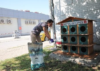 Bayraklı’da can dostlar için ‘bir kap su’ kampanyası