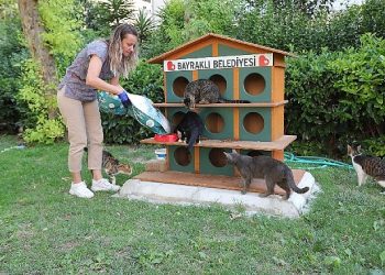Bayraklı’da can dostlara mama ve su dayanağı
